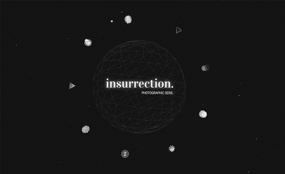 Insurrection - Vincent Camerano
